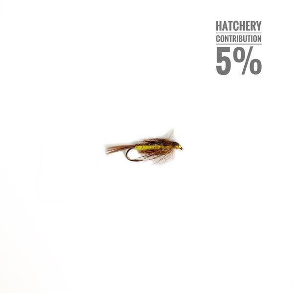Yellow Hexagenia Nymph