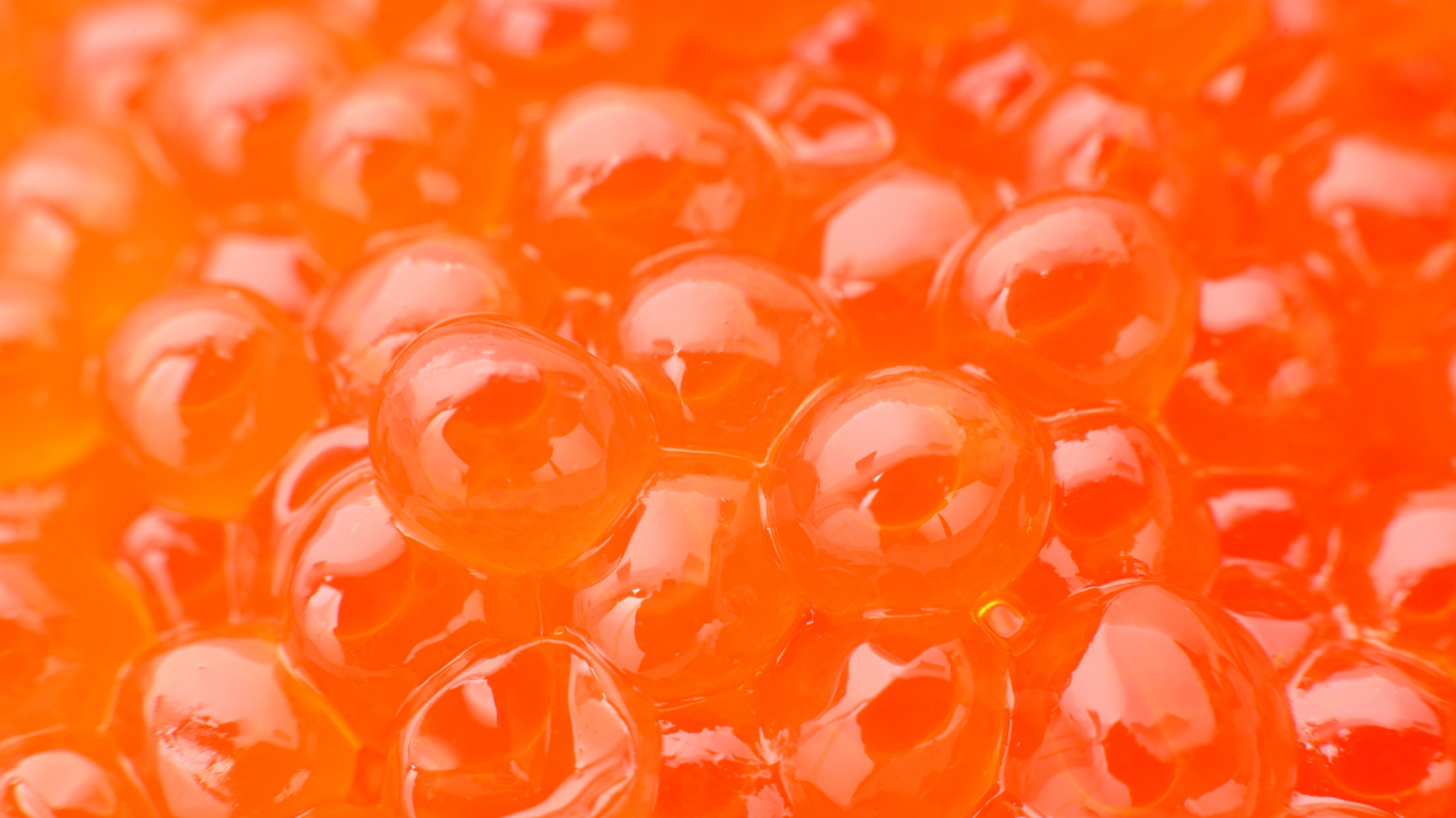 Roe Accessories: RKP Outdoors